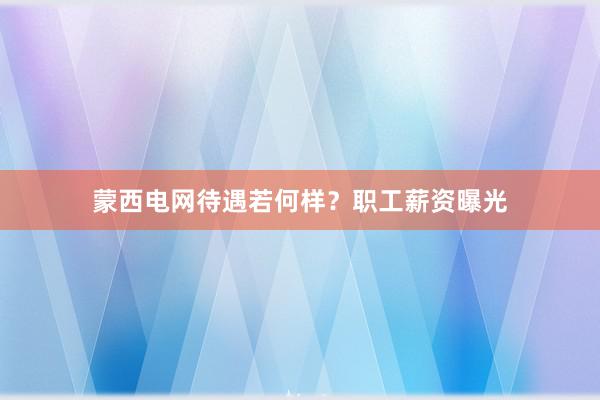 蒙西电网待遇若何样？职工薪资曝光